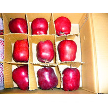 Chine Huaniu pomme fraîche de haute qualité